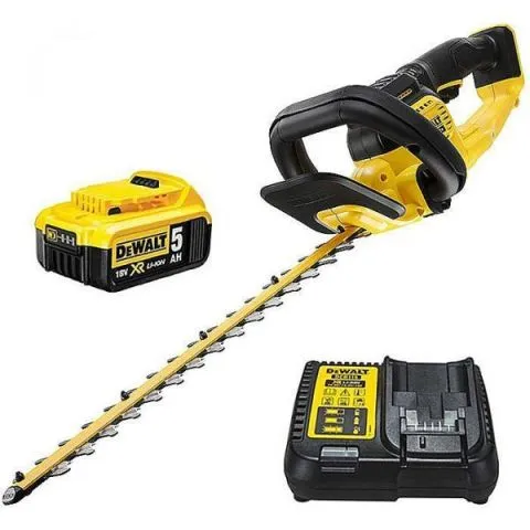Nyhet DCMHT563P1-QW Dewalt Häcksax med batteri och laddare